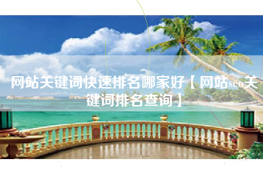 网站关键词快速排名哪家好【网站seo关键词排名查询】