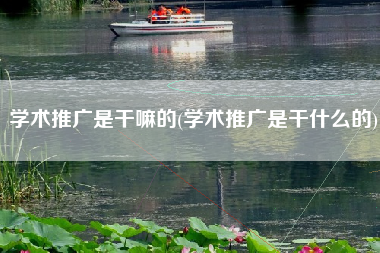 学术推广是干嘛的(学术推广是干什么的)