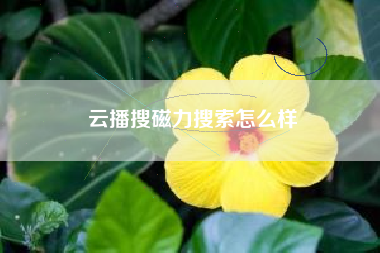 云播搜磁力搜索怎么样 云播搜磁力搜索怎么样