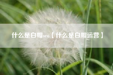 什么是白帽seo【什么是白帽运营】