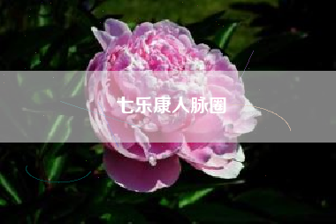 七乐康人脉圈