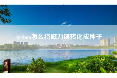 python怎么将磁力链转化成种子