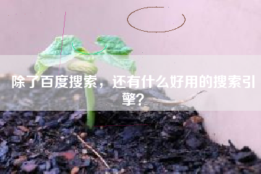 除了百度搜索，还有什么好用的搜索引擎？