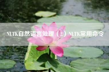NLTK自然语言处理（2）NLTK常用命令