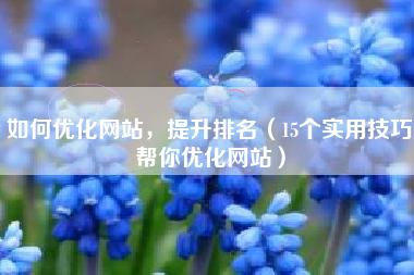 如何优化网站，提升排名（15个实用技巧帮你优化网站）