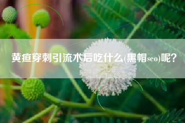 黄疸穿刺引流术后吃什么(黑帽seo)呢？