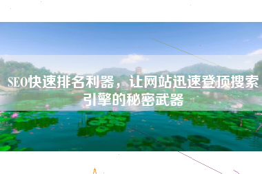 SEO快速排名利器，让网站迅速登顶搜索引擎的秘密武器