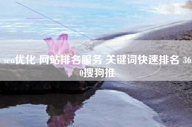 seo优化 网站排名服务 关键词快速排名 360搜狗推