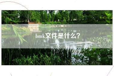 bmk文件是什么？