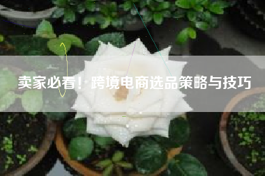 卖家必看！跨境电商选品策略与技巧