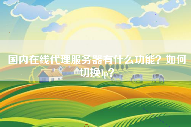 国内在线代理服务器有什么功能?如何切换Ip? 国内在线代理服务器有什么功能?如何切换Ip?