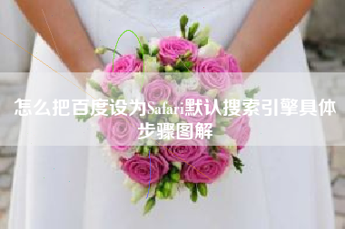 怎么把百度设为Safari默认搜索引擎具体步骤图解