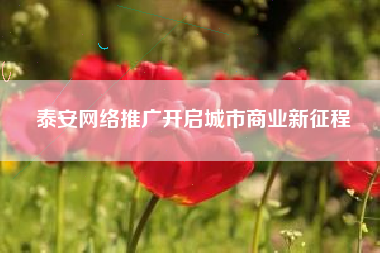泰安网络推广开启城市商业新征程