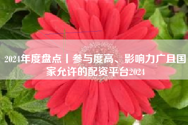 2024年度盘点丨参与度高、影响力广且国家允许的配资平台2024