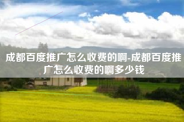 成都百度推广怎么收费的啊-成都百度推广怎么收费的啊多少钱