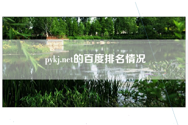 pykj.net的百度排名情况