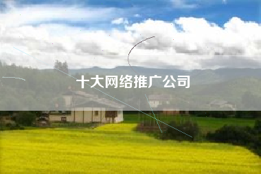 十大网络推广公司