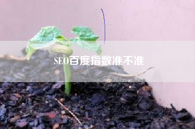SEO百度指数准不准