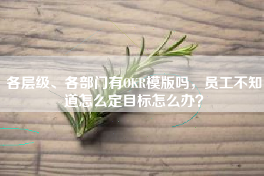 各层级、各部门有OKR模版吗，员工不知道怎么定目标怎么办？