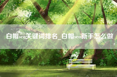 白帽seo关键词排名_白帽seo新手怎么做