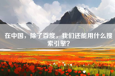 在中国，除了百度，我们还能用什么搜索引擎？
