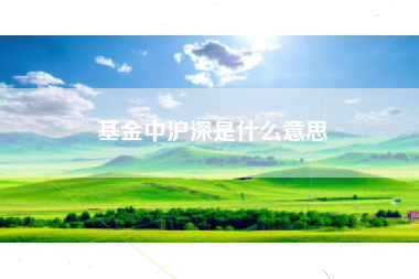 基金中沪深是什么意思