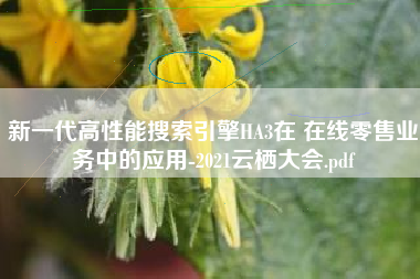新一代高性能搜索引擎HA3在 在线零售业务中的应用-2021云栖大会.pdf