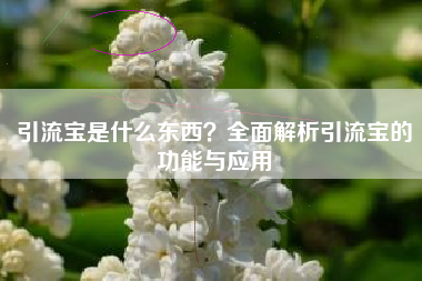 引流宝是什么东西？全面解析引流宝的功能与应用