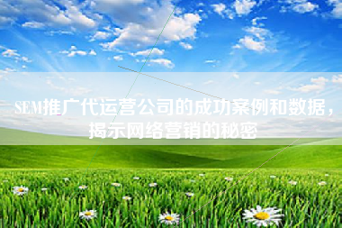 SEM推广代运营公司的成功案例和数据，揭示网络营销的秘密