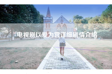 电视剧以爱为营详细剧情介绍
