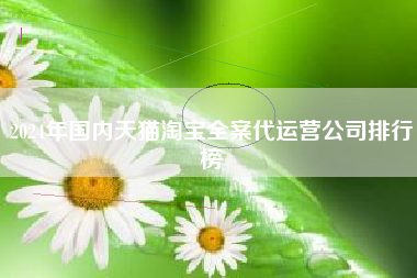 2024年国内天猫淘宝全案代运营公司排行榜