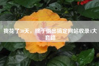 我花了30天，终于悟出搞定网站收录4大套路