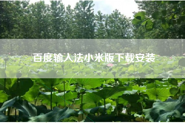 百度输入法小米版下载安装