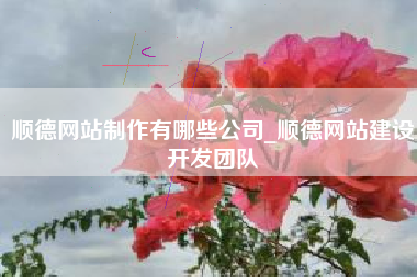 顺德网站制作有哪些公司_顺德网站建设开发团队