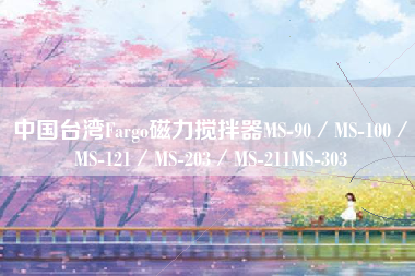 中国台湾Fargo磁力搅拌器MS-90／MS-100／MS-121／MS-203／MS-211MS-303
