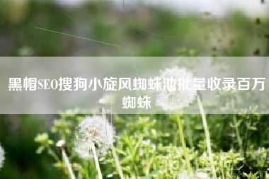 黑帽SEO搜狗小旋风蜘蛛池批量收录百万蜘蛛