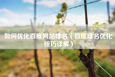 如何优化百度网站排名（百度排名优化技巧详解）