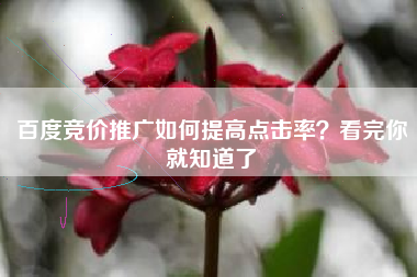 百度竞价推广如何提高点击率？看完你就知道了