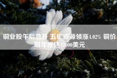 铜业股午后急升 五矿资源领涨4.02% 铜价明年或达12000美元