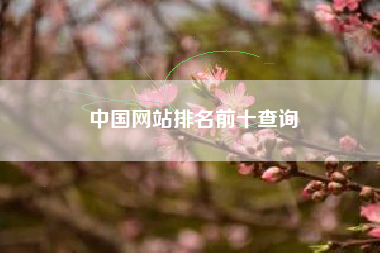 中国网站排名前十查询