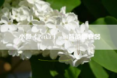 小佩（Petkit）mini智能喂食器