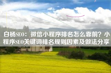 白杨SEO：微信小程序排名怎么靠前？小程序SEO关键词排名规则因素及做法分享