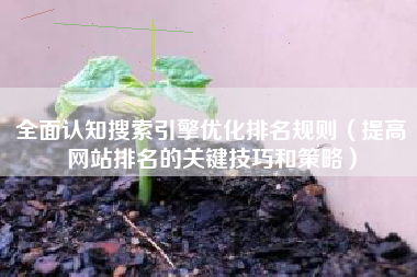 全面认知搜索引擎优化排名规则（提高网站排名的关键技巧和策略）