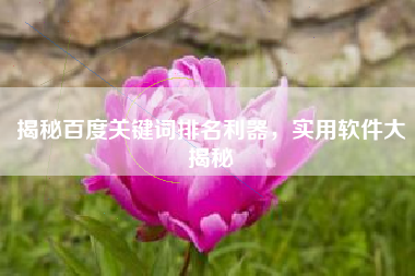 揭秘百度关键词排名利器，实用软件大揭秘
