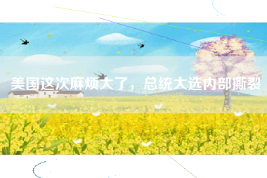 美国这次麻烦大了，总统大选内部撕裂