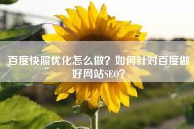 百度快照优化怎么做？如何针对百度做好网站SEO？
