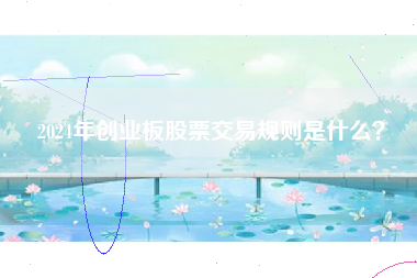 2024年创业板股票交易规则是什么？