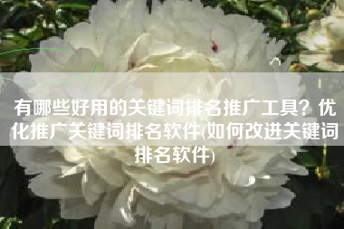 有哪些好用的关键词排名推广工具？优化推广关键词排名软件(如何改进关键词排名软件)