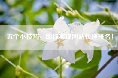 五个小技巧，助你实现网站快速排名！