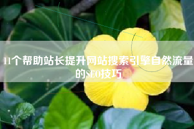 11个帮助站长提升网站搜索引擎自然流量的SEO技巧